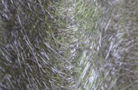 Higher Broughton fibreglass roof work